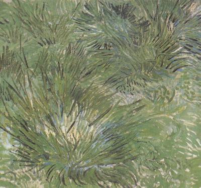 Vincent Van Gogh Clumps of Grass (nn04) Norge oil painting art